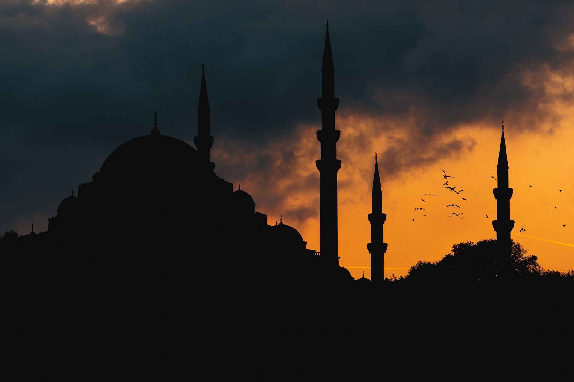 Row Background Image